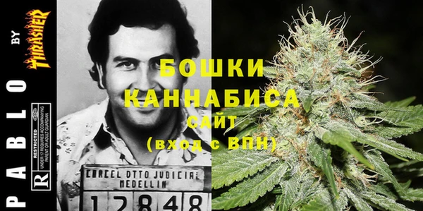 винт Гусь-Хрустальный