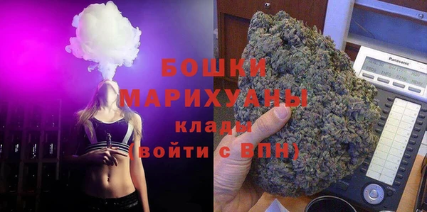 винт Гусь-Хрустальный