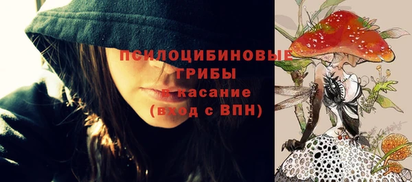 кристаллы Гусиноозёрск