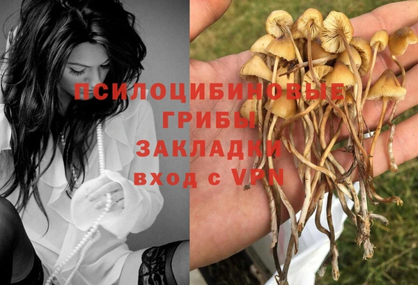 винт Гусь-Хрустальный